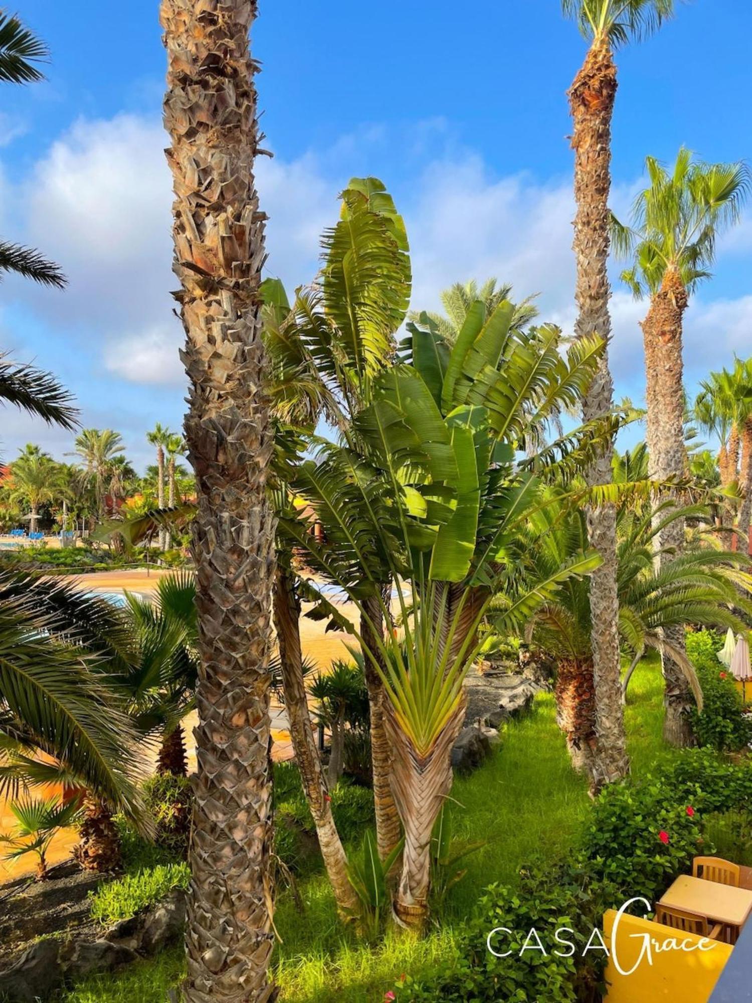 Tamarindo 1 Casa Grace Wifi Free Pool View By Rentalfue Corralejo Exterior photo
